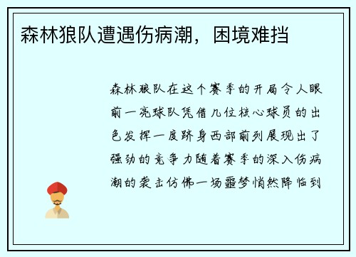 森林狼队遭遇伤病潮，困境难挡